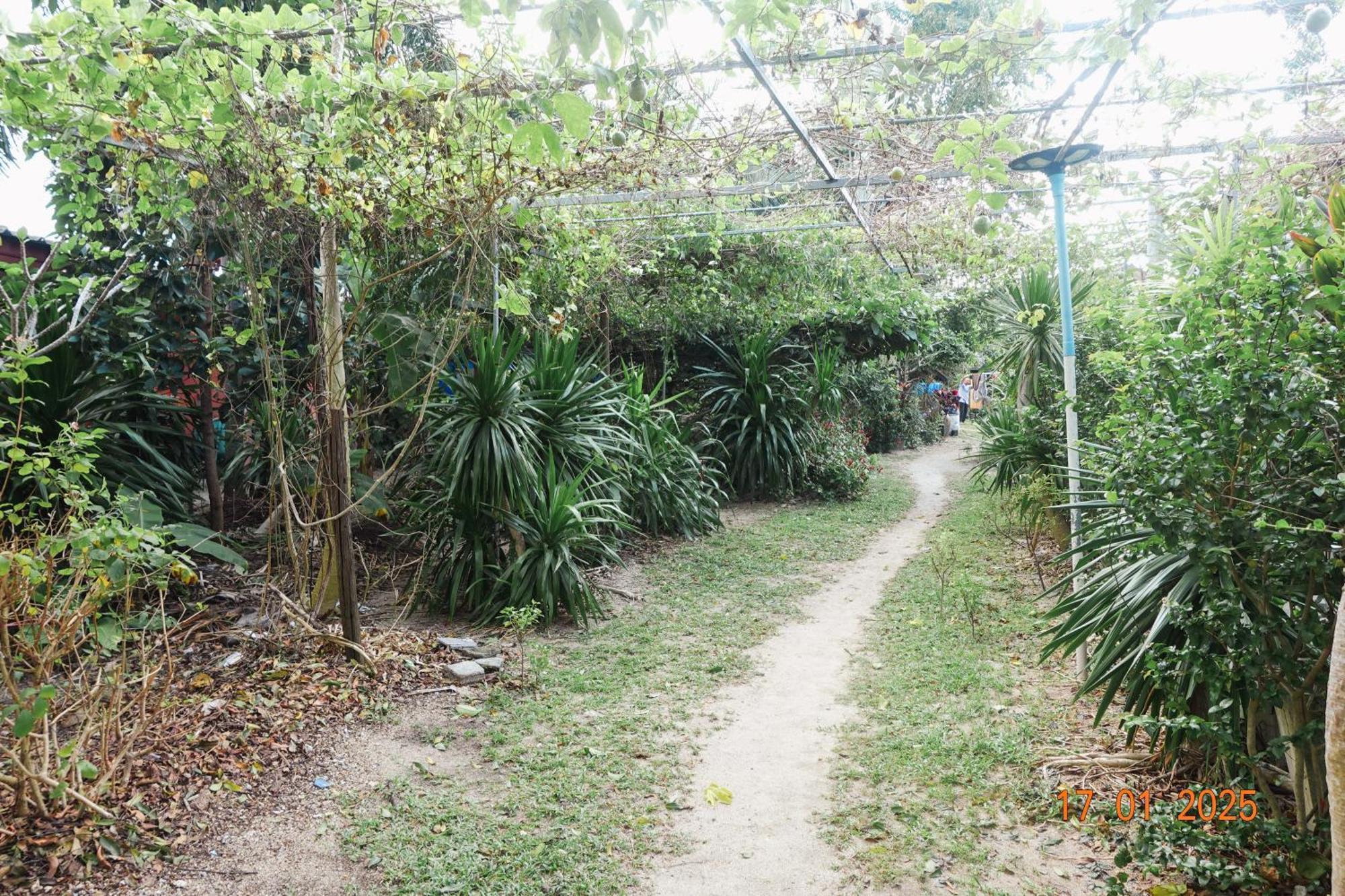 Subsavet Village Koh Phangan Eksteriør billede