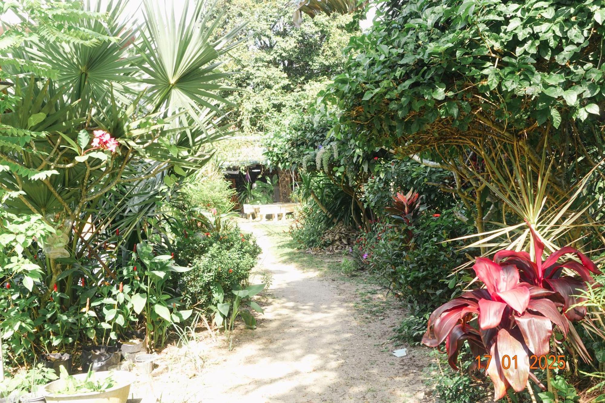 Subsavet Village Koh Phangan Eksteriør billede