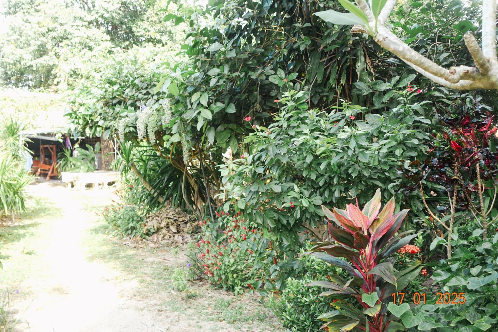 Subsavet Village Koh Phangan Eksteriør billede
